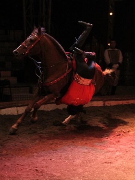 Circus Barelli   064.jpg